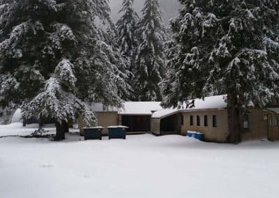 Bright but quiet under the winter fir trees at Camp Wa-RI-Ki.