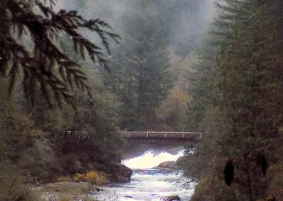 Washougal River seen from Camp Wa-Ri-Ki nestled in the misty foothills.